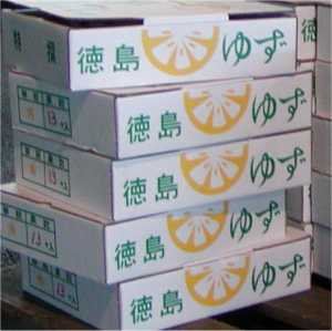 ゆず-徳島県　秀　12個　１．５ｋｇ